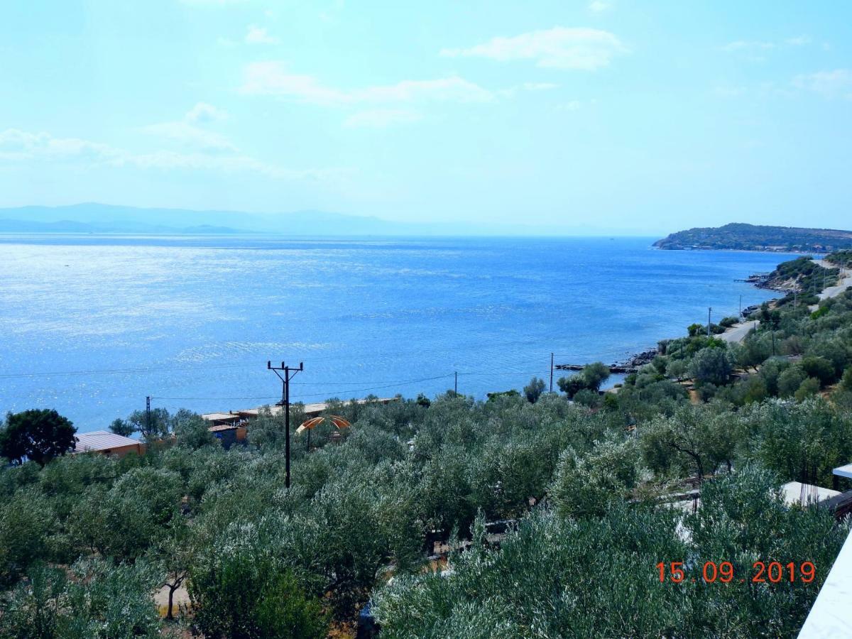 Assos Nazan Motel Restoran Beach Sokakagzi 外观 照片